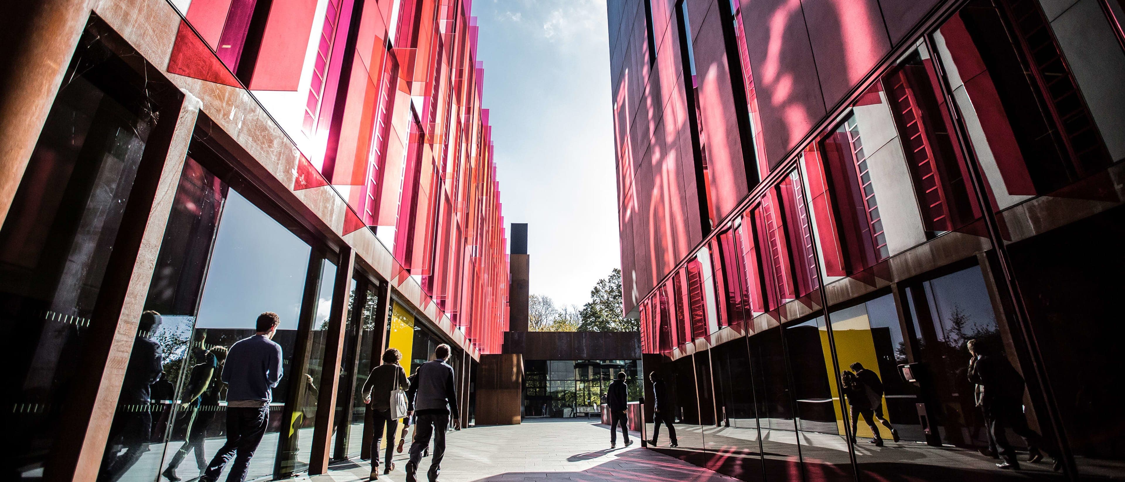Image for Accounting and Economics, BSc (Hons)