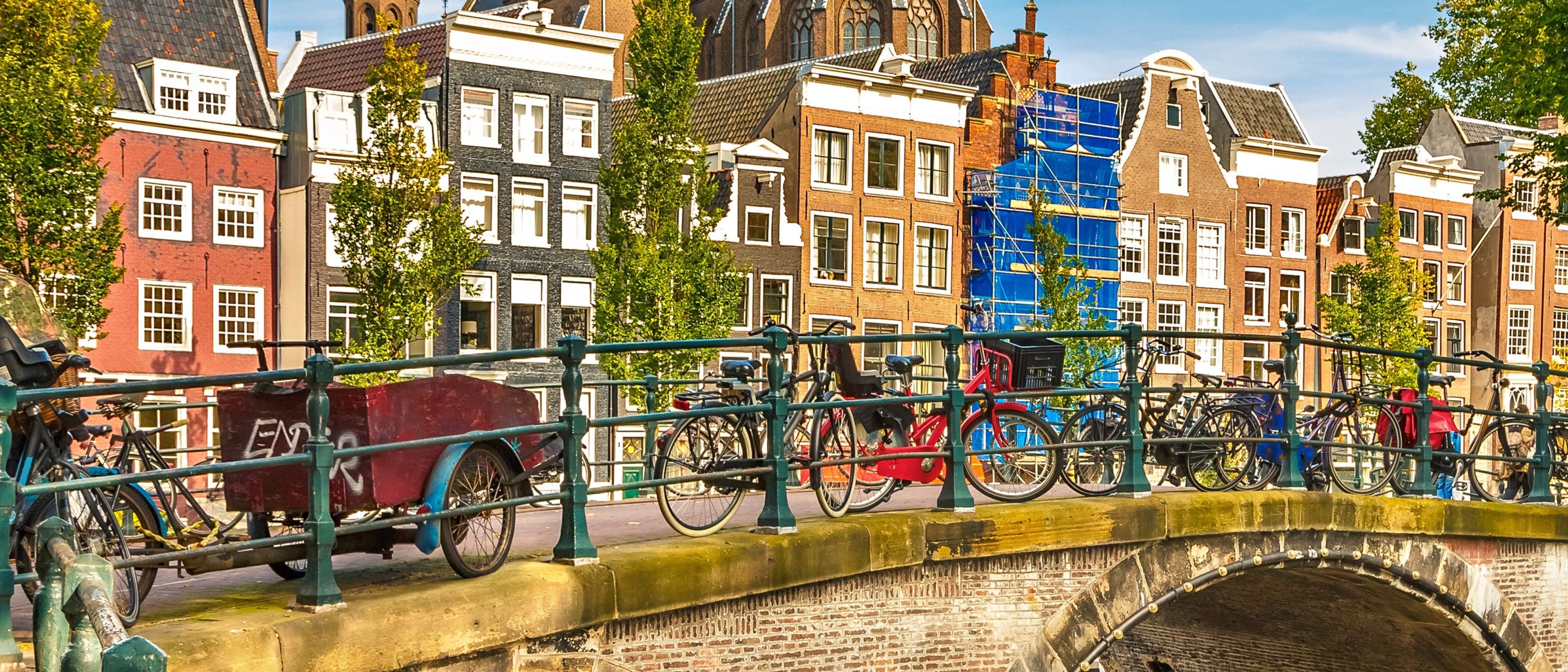 Image for Bachelor in European Public Health